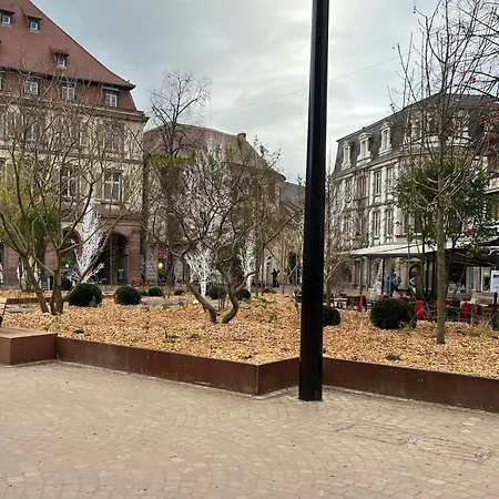 Apartment Le Muscat Colmar