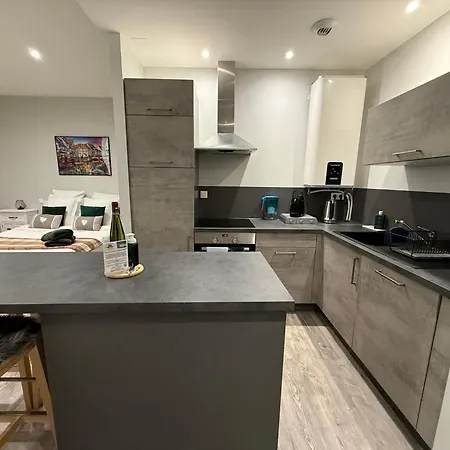 Le Muscat Lejlighed Colmar